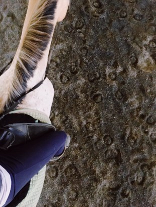 Processed with VSCO with au5 preset